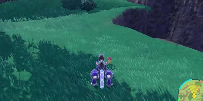 Pokemon Scarlet Violet Shiny Bonsly