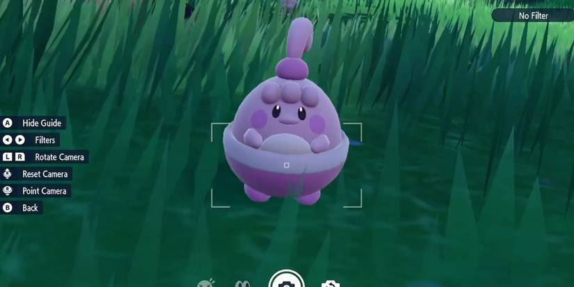 Pokemon Scarlet Violet Shiny Happiny