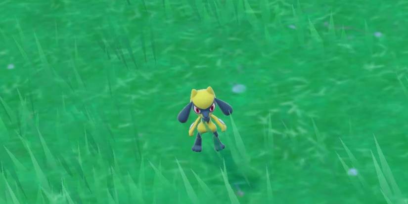 Pokemon Scarlet Violet Shiny Riolu
