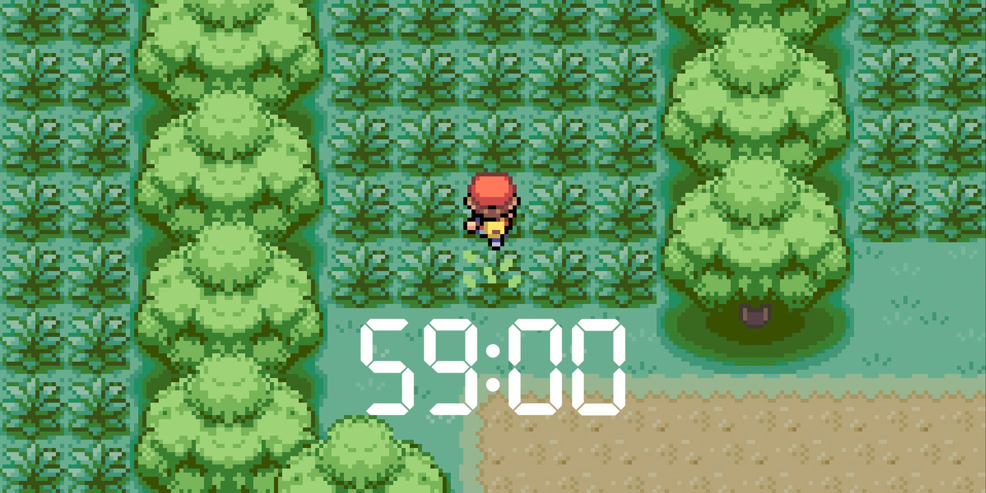 Pokemon Time Limit