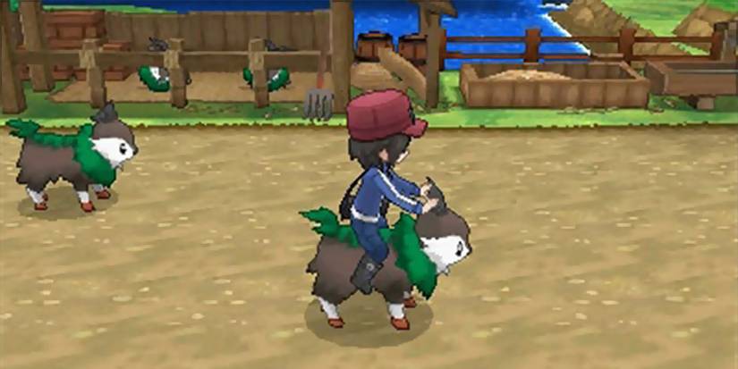 Pokemon XY Skiddo Riding