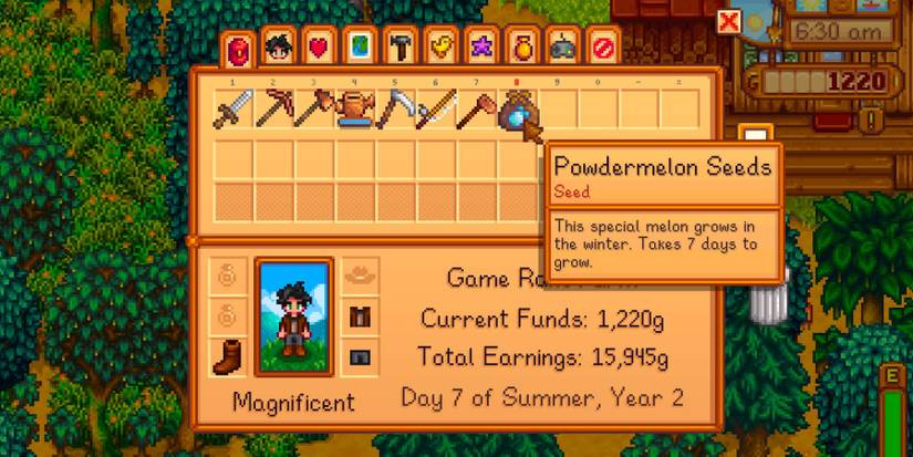 Powdermelon in Stardew Valley
