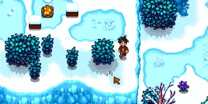 Stardew Valley worms