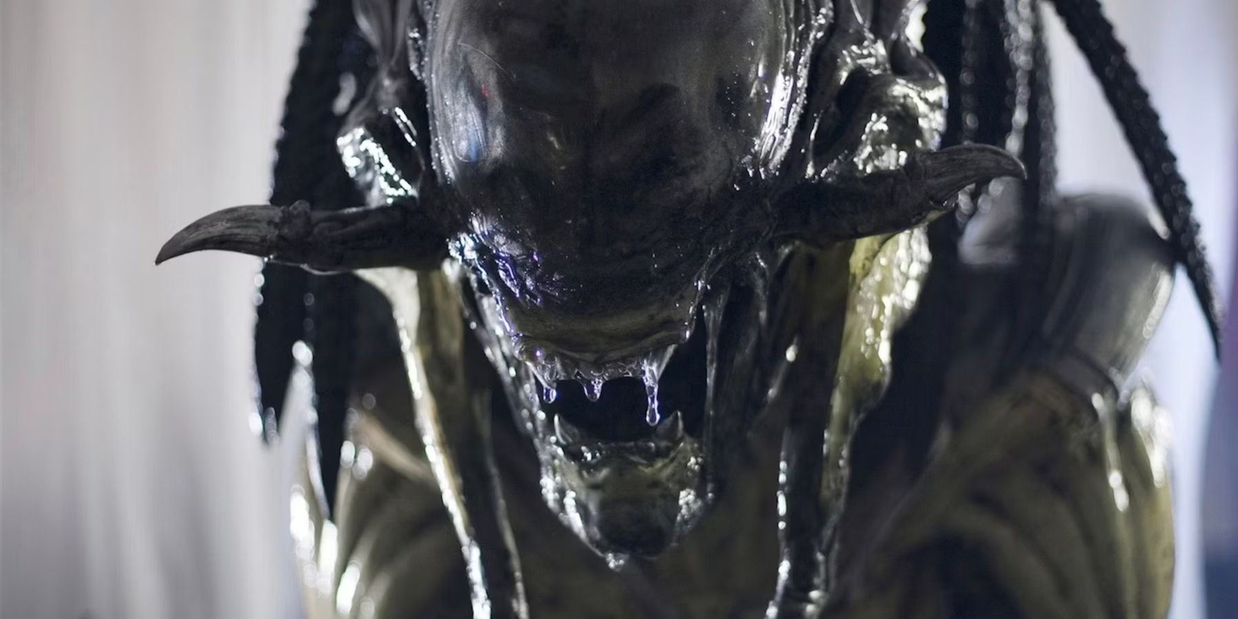 Alien: Every Xenomorph Type, Explained