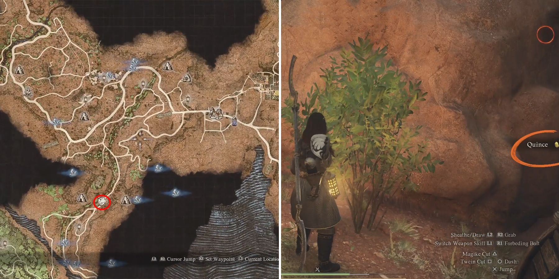 quince location in dragons dogma 2