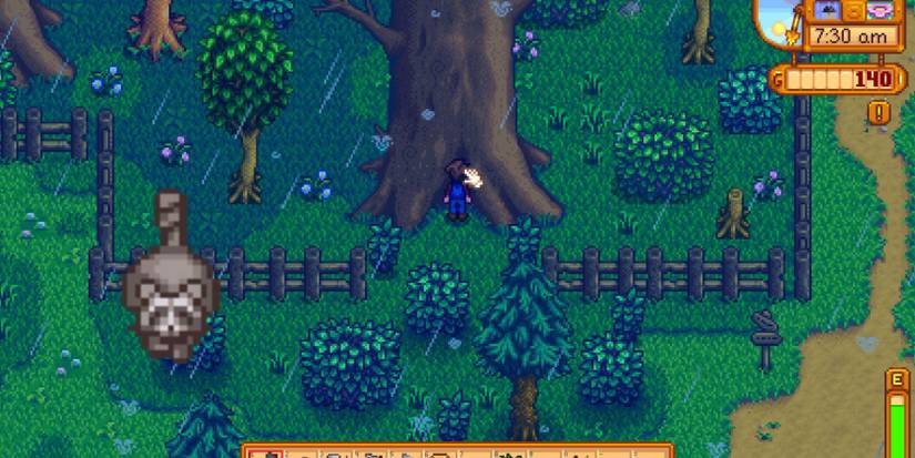 raccoons stardew valley 