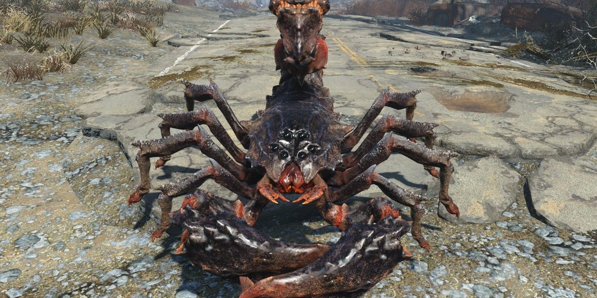 Radscorpion Predator from Fallout 4