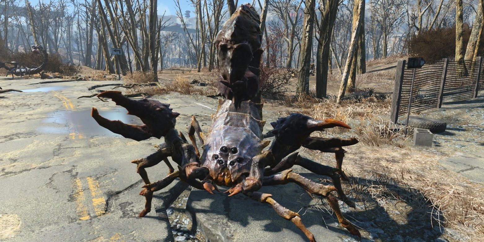 Radscorpion Predator in Fallout 4