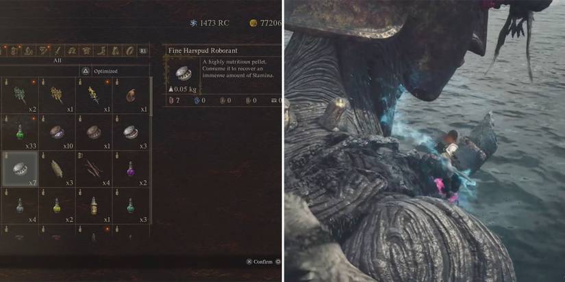 restore stamina and stand ont eh shoulder of guardian in dragons dogma 2