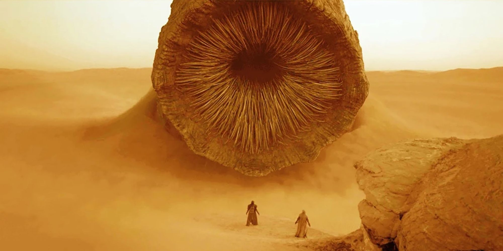 Sandworms In Dune