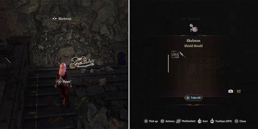 shield mould location in baldurs gate 3