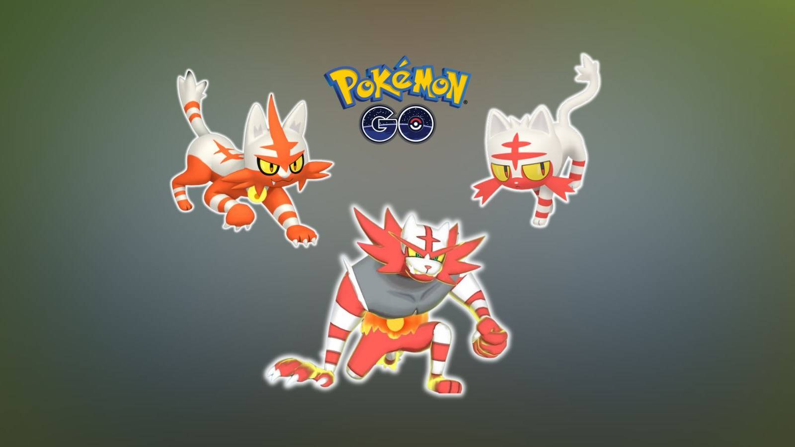 Shiny Litten, Shiny Torracat, and Shiny Incineroar in Pokemon GO