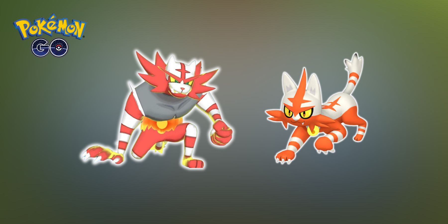 Shiny Torracat and Shiny Incineroar in Pokemon GO