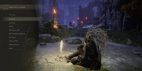 Elden Ring but with the game can be paused with pause the game mod without visiting the site of grace.