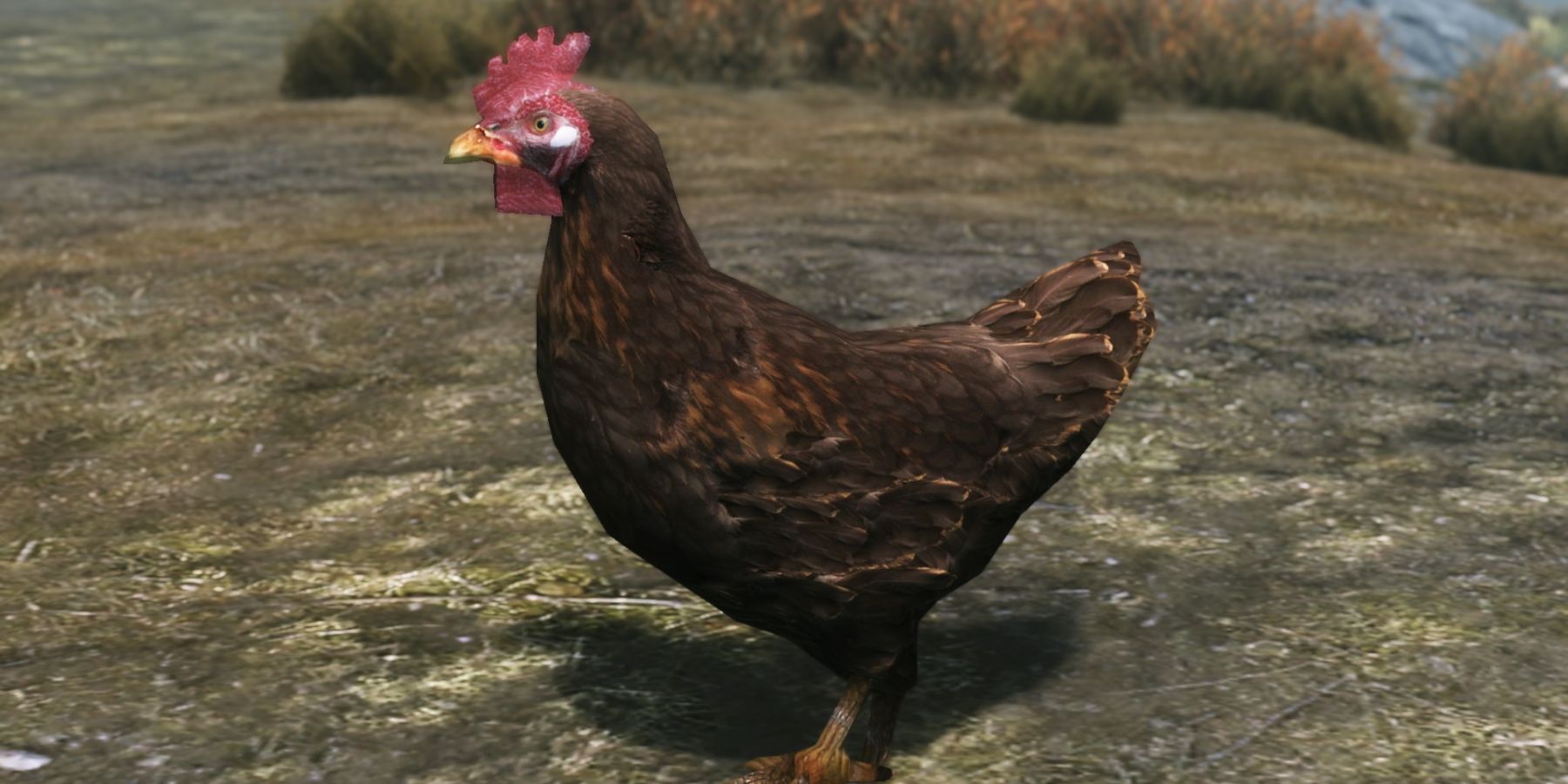 A screenshot from Skyrim showing an in-game chicken.