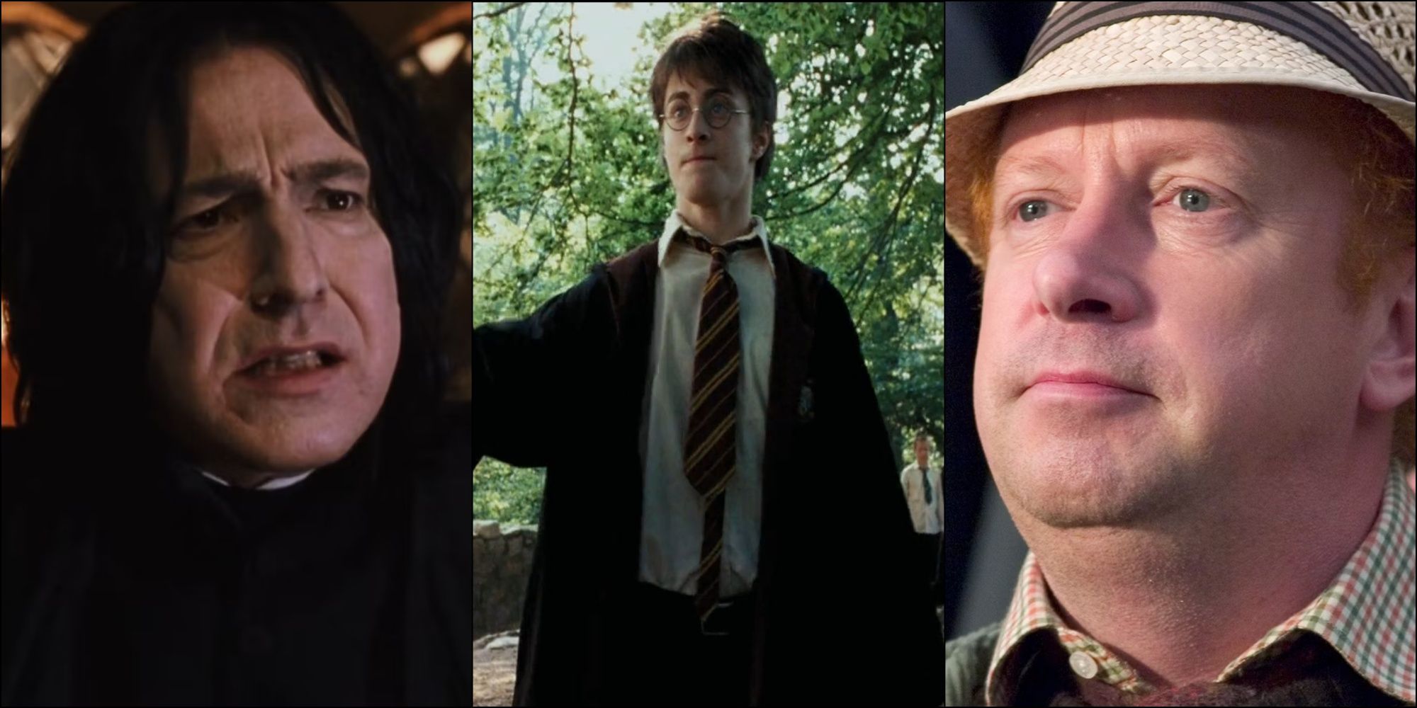 Snape, Harry Potter, and Mr Weasley in Harry Potter