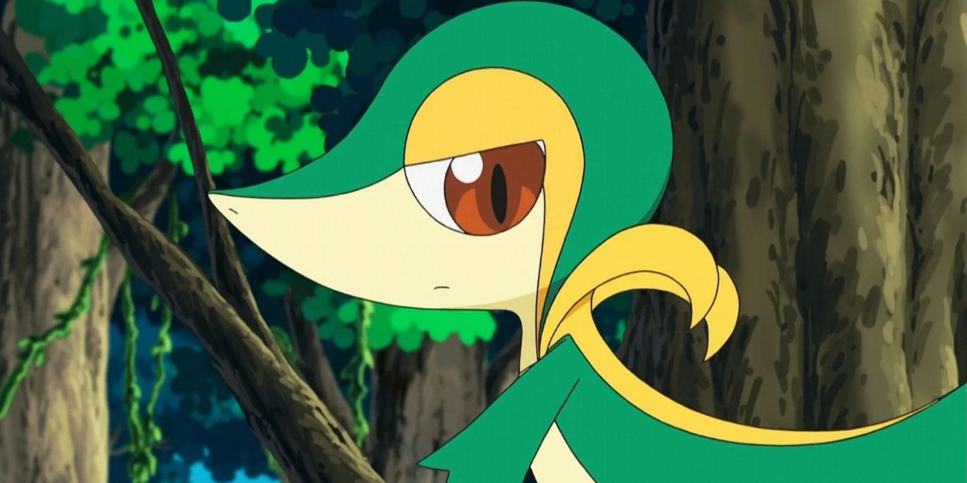 Snivy: Most Likely Starter Pokemon for Pokemon Legends: Z-A