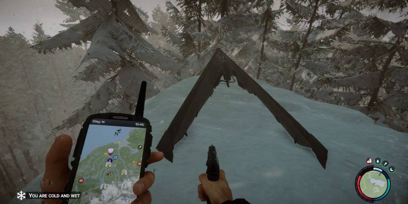 Sons of the Forest 1.0  Foldable Hang Glider