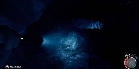 Sons of the Forest 1.0 Bolt Action Rifle Cave