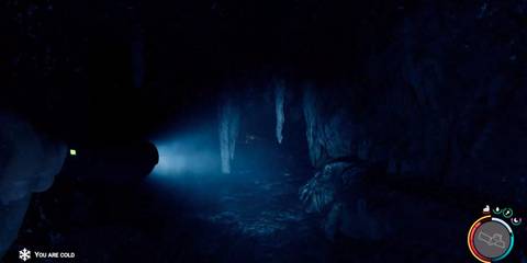 Sons of the Forest 1.0 Bolt Action Rifle Cave