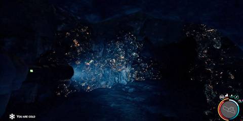 Sons of the Forest 1.0 Bolt Action Rifle Cave