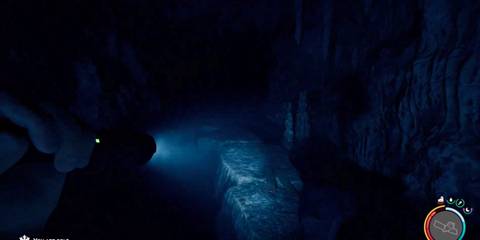 Sons of the Forest 1.0 Bolt Action Rifle Cave