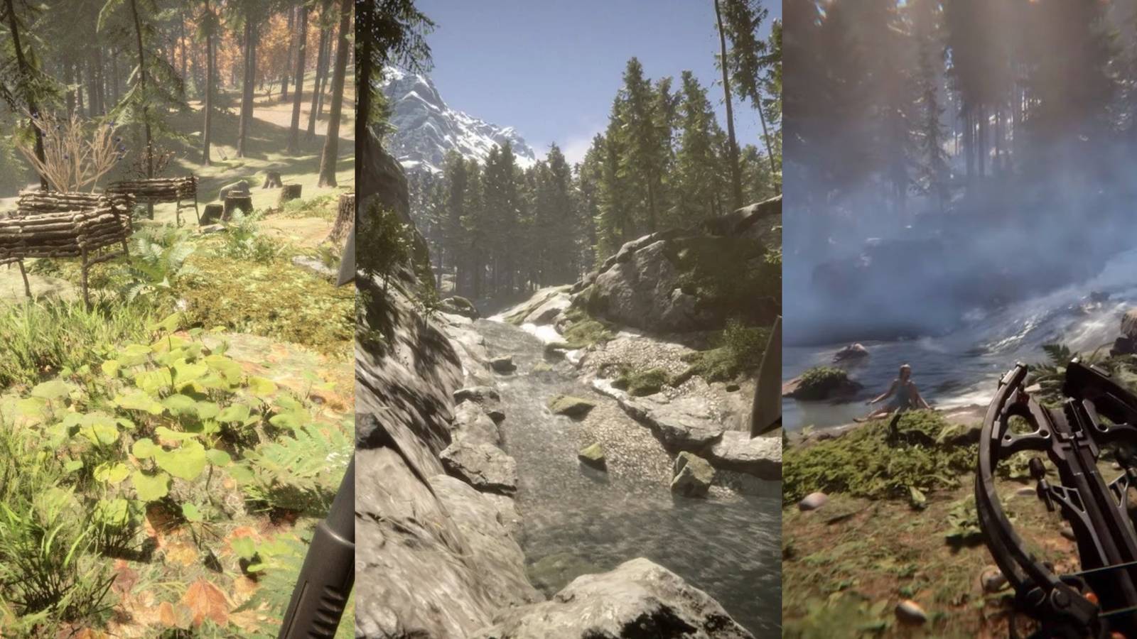 Sons Of The Forest Best Ways To Get Food