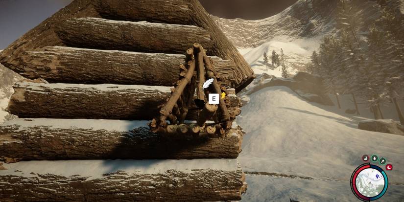 Sons Of The forest Bird Box