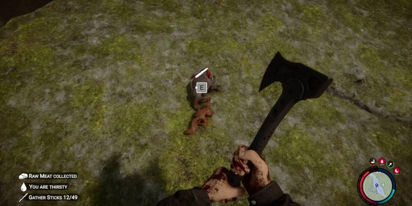 Sons Of The Forrest Hunting Small Game