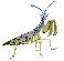Spotted_Mantis