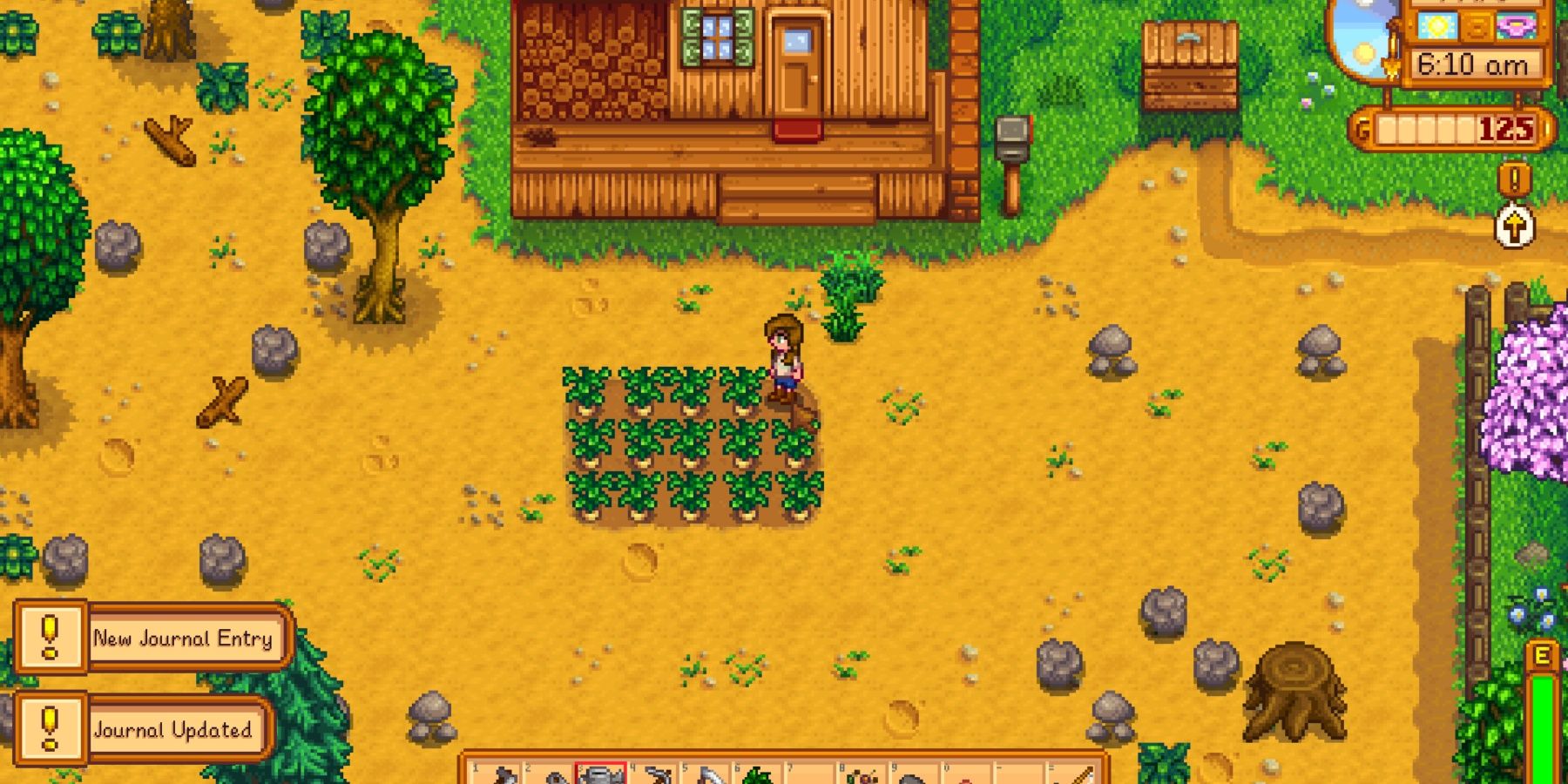 The player standing in their patch of parsnips in front of their small cabin