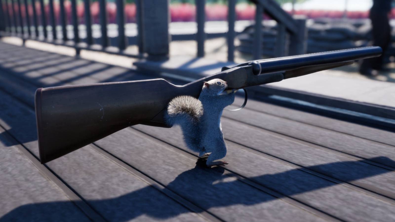 squirrel-with-a-gun-shotgun