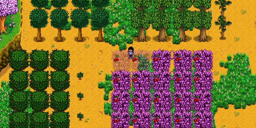 stardew-fruit-trees