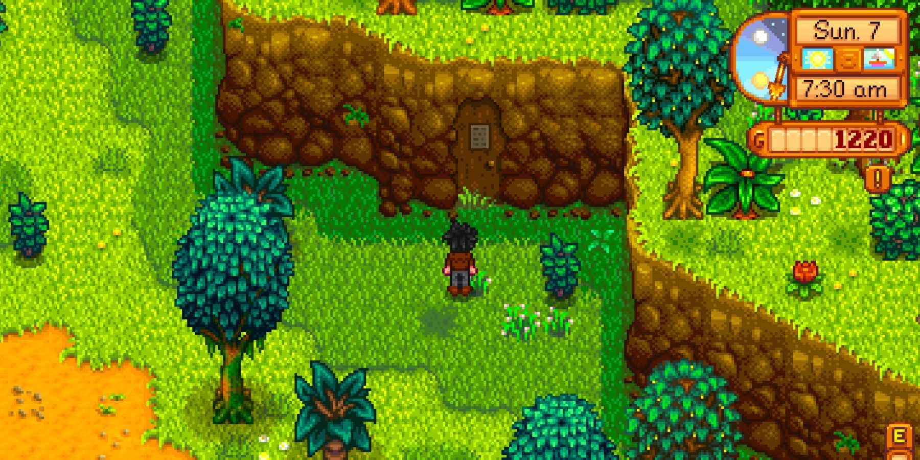 Mastery Cave in Stardew Valley