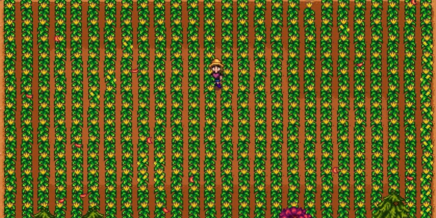 The Worst Stardew Valley Crops, Ranked