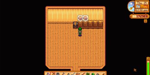 Image of some raisins ready for harvesting in Stardew Valley