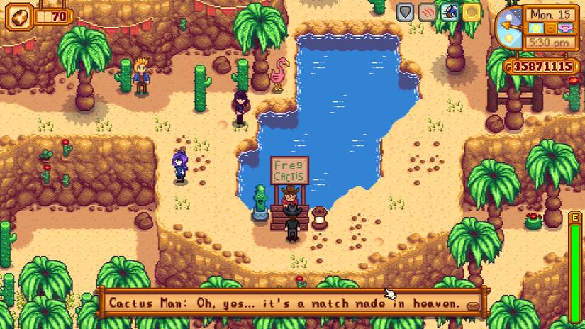 Stardew Valley Desert Festival Cactus Man