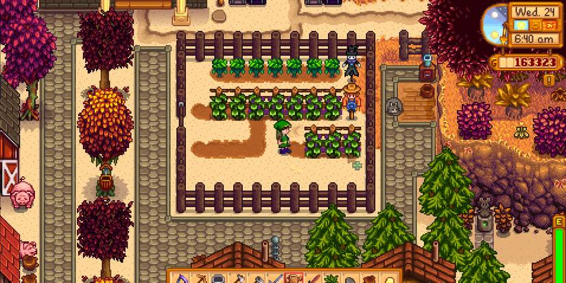 Image of some grapes on the farm in Stardew Valley