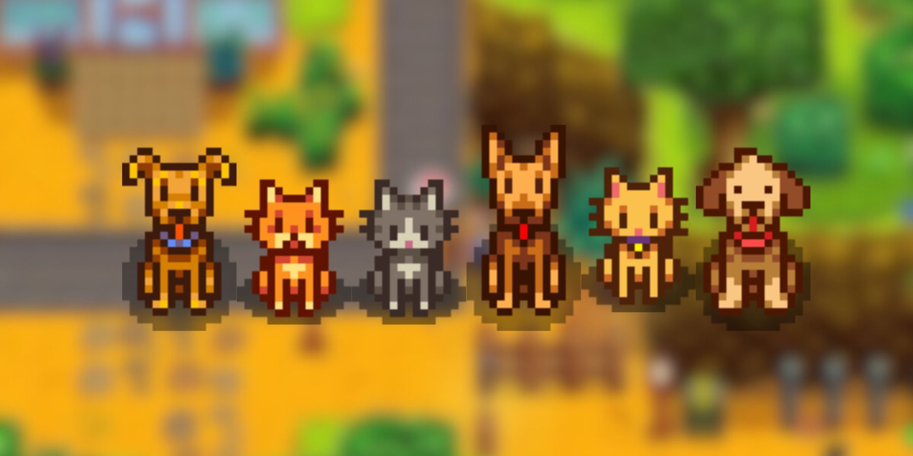 a few pets from stardew valley 1.6.