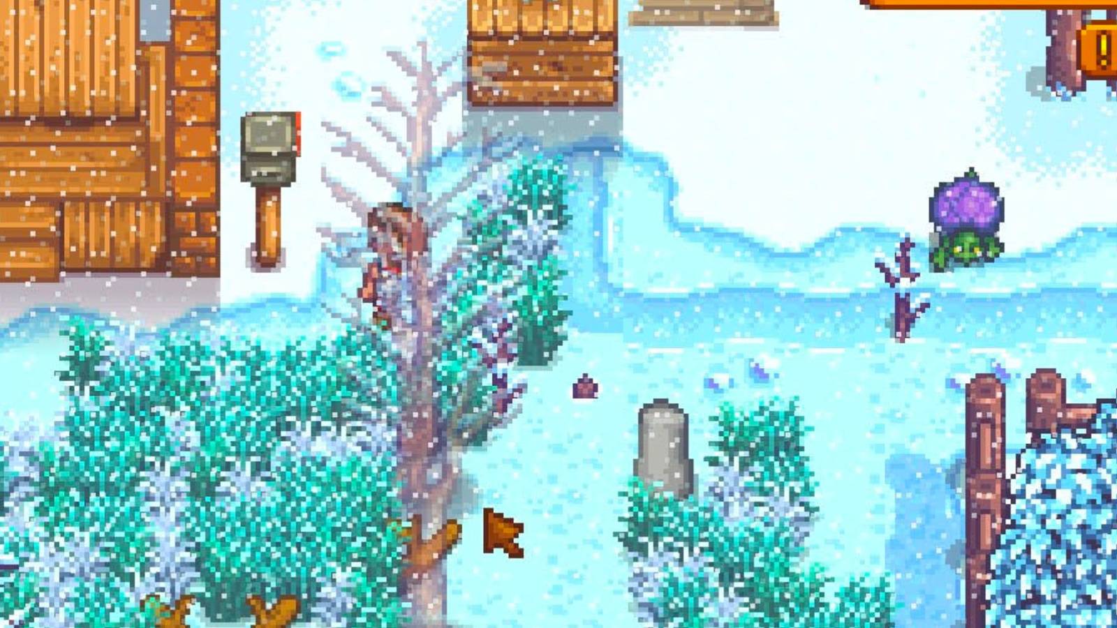 stardew valley how to get a turtle