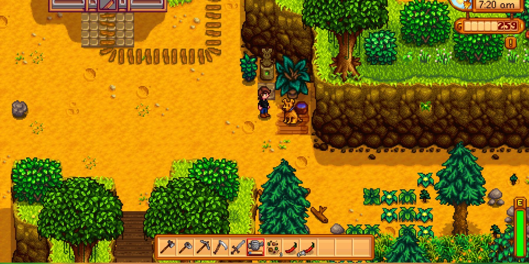 a pet dog and his water bowl in stardew valley 1.6.