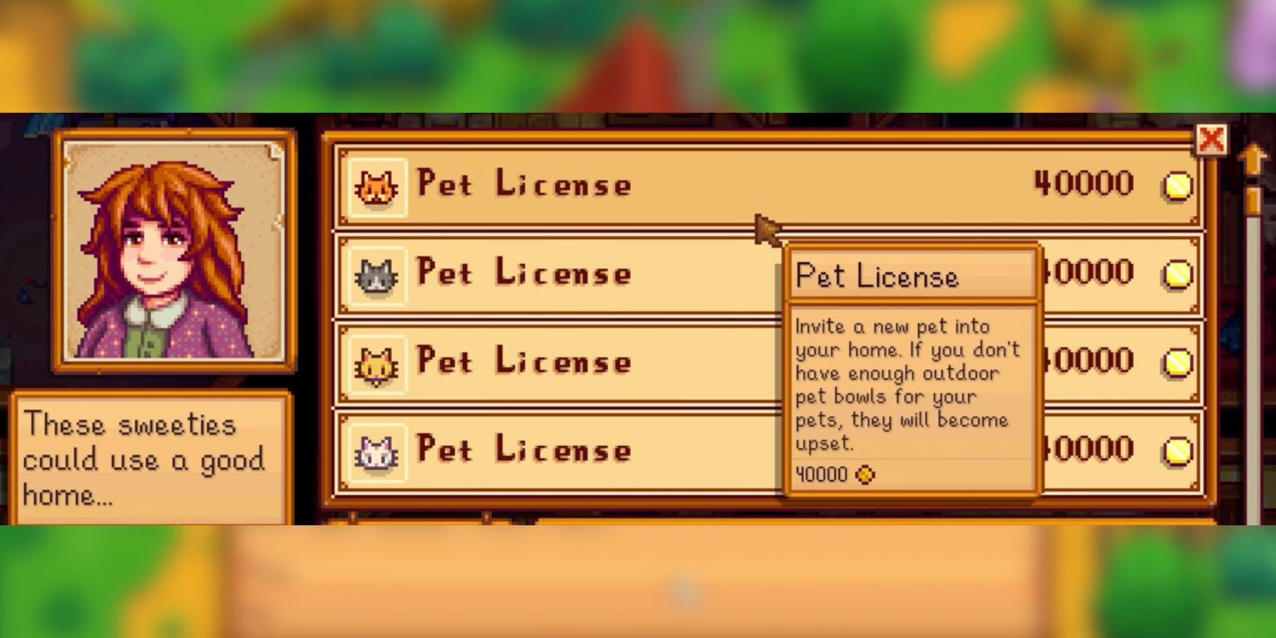 pet license in marnie's store in stardew valley 1.6.