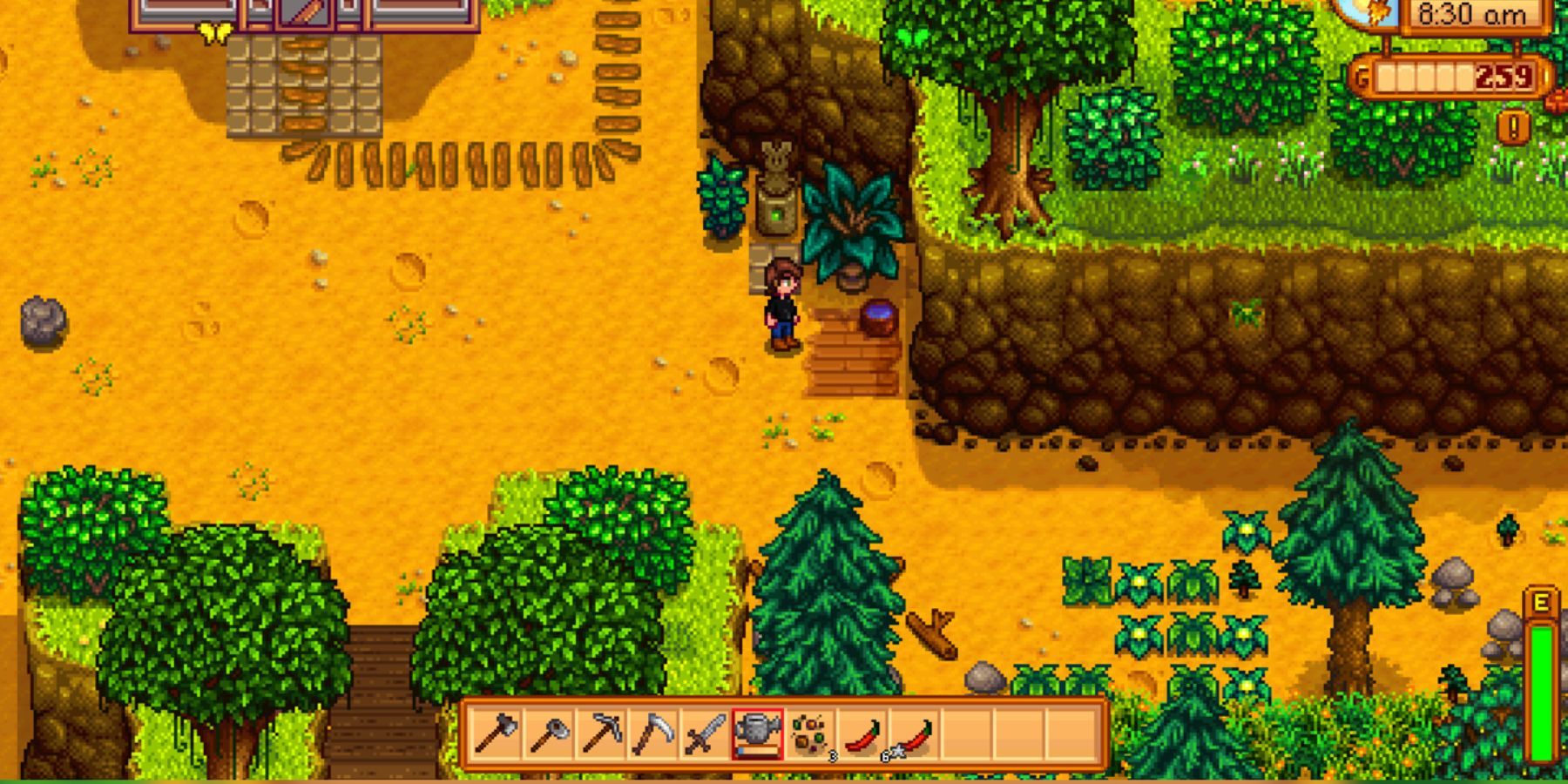 a pet bowl in stardew valley 1.6.