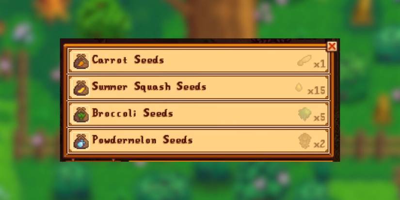 raccoon shop inventory in stardew valley 1.6.