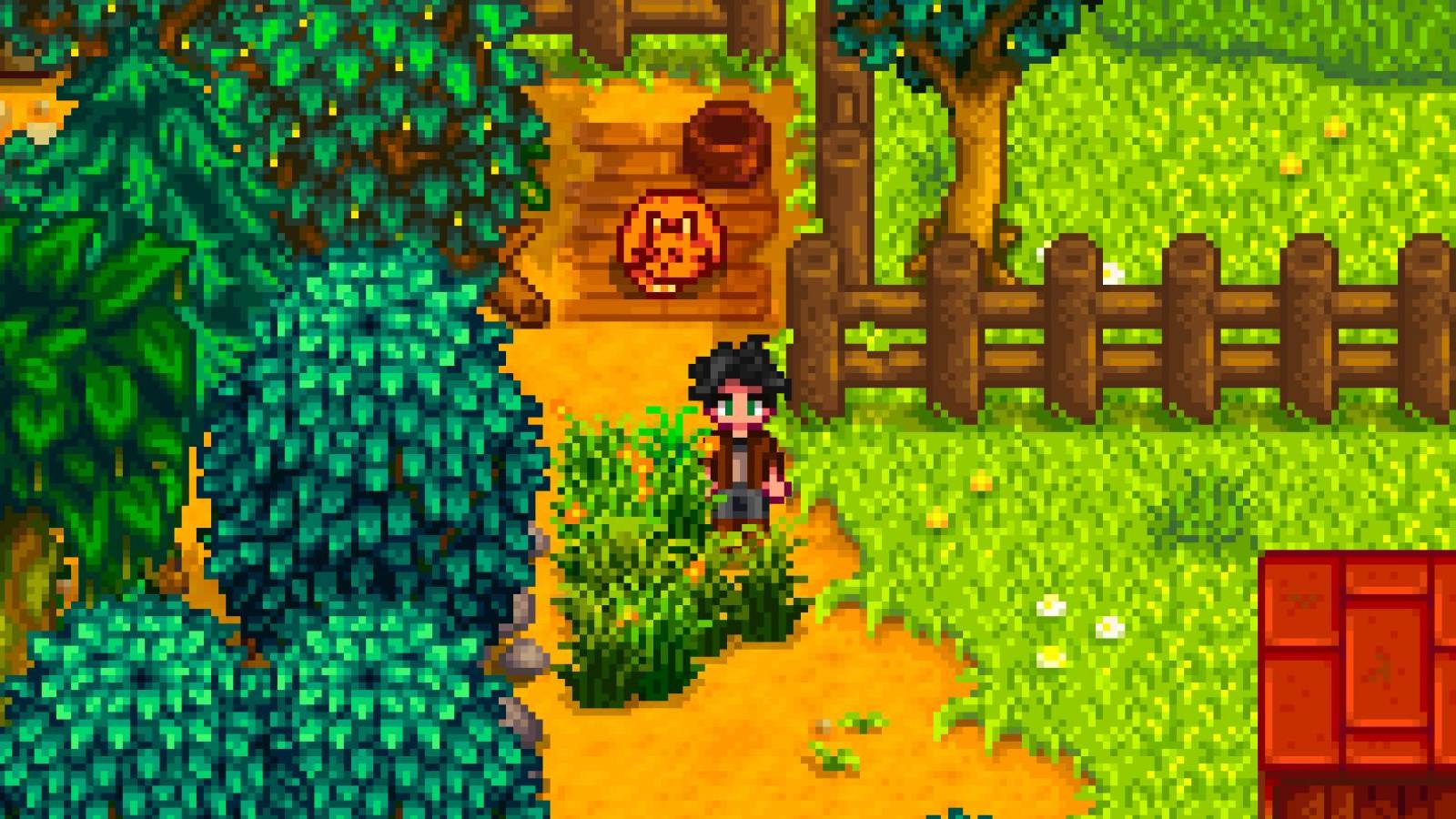 Pet in Stardew Valley