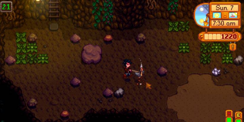 Stardew Valley mine