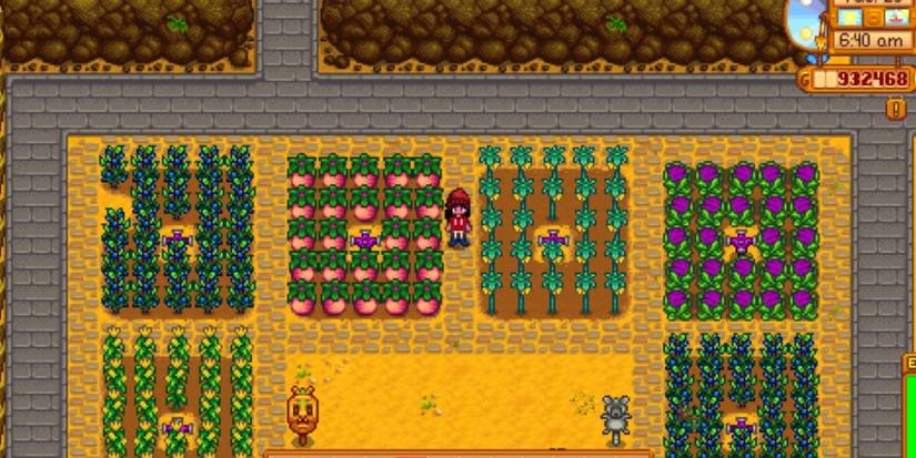 Stardew Valley fully matured summer crops