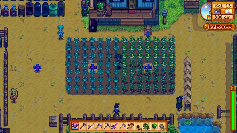 Stardew Valley Summer Squash Crop