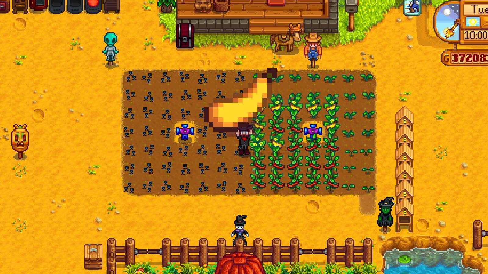 Stardew Valley Summer Squash