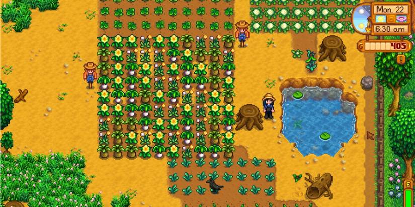A screenshot of wild seeds growing in Stardew Valley.